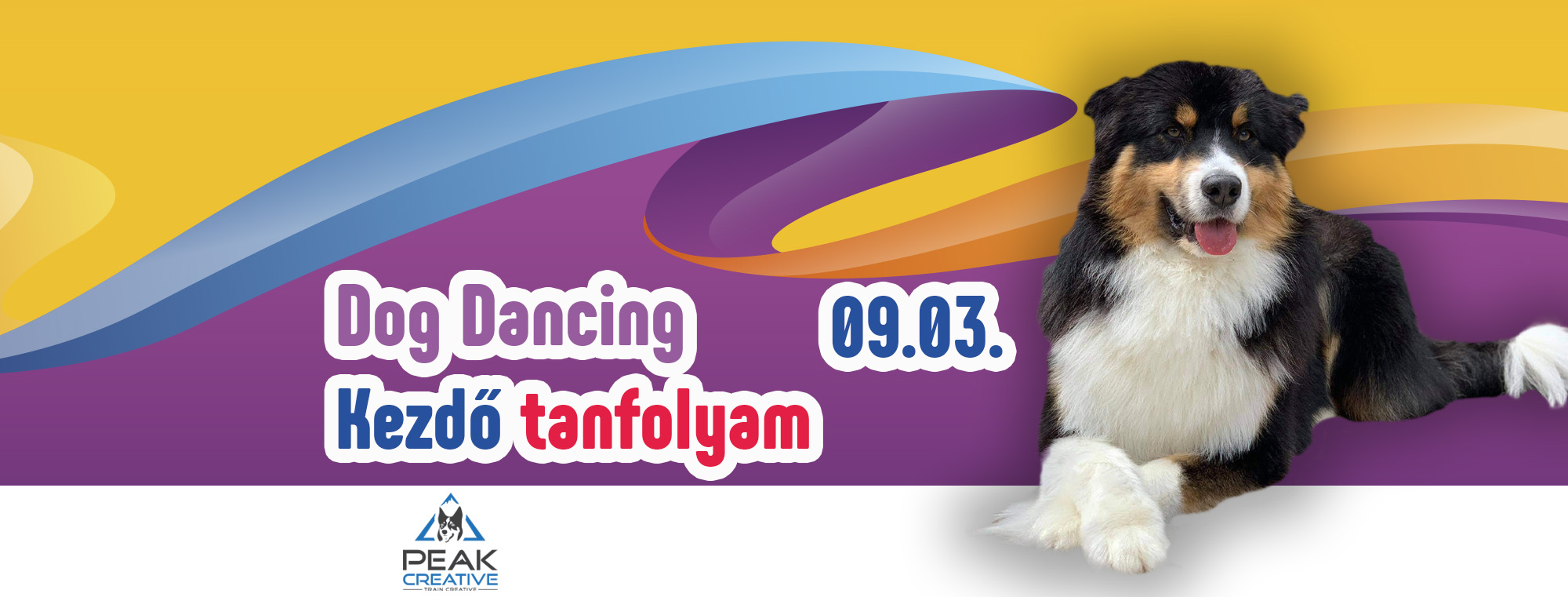 Dog Dancing kezdő tanfolyam