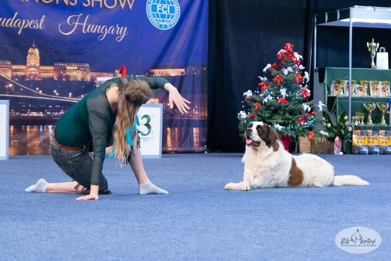 Dog Dancing Hungary